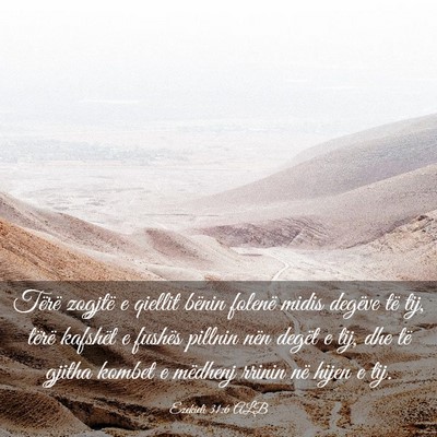 Picture 03 - Ezekieli 31:6 ALB - Tërë zogjtë e qiellit bënin folenë midis - Bible Verse Picture