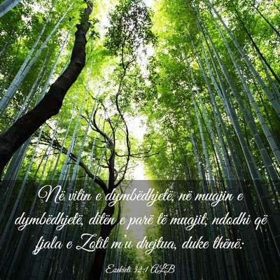 Picture 03 - Ezekieli 32:1 ALB - Në vitin e dymbëdhjetë, në muajin e - Bible Verse Picture