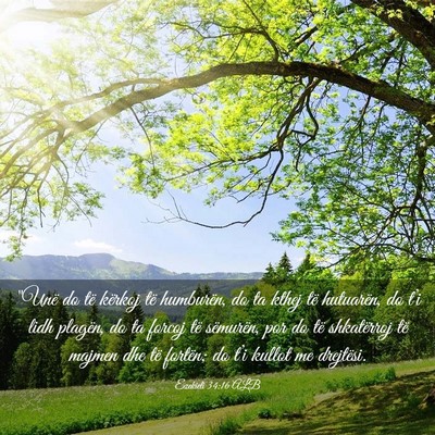 Picture 03 - Ezekieli 34:16 ALB - 