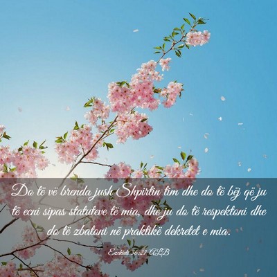 Picture 03 - Ezekieli 36:27 ALB - Do të vë brenda jush Shpirtin tim dhe do të - Bible Verse Picture
