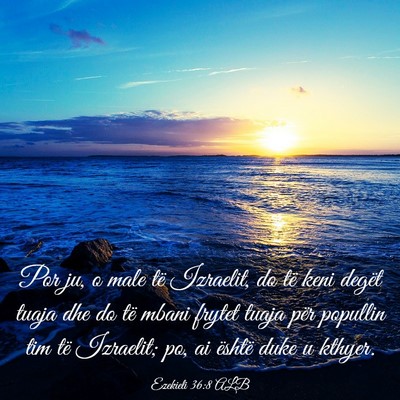 Picture 03 - Ezekieli 36:8 ALB - Por ju, o male të Izraelit, do të keni degët - Bible Verse Picture