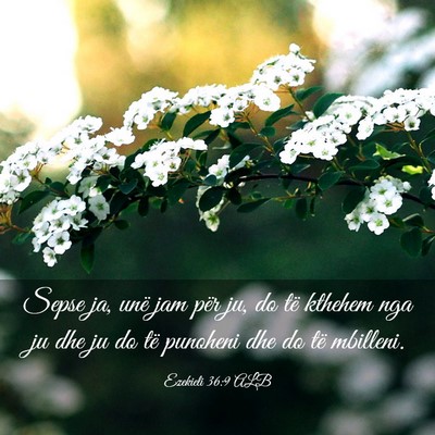 Picture 03 - Ezekieli 36:9 ALB - Sepse ja, unë jam për ju, do të kthehem nga ju - Bible Verse Picture