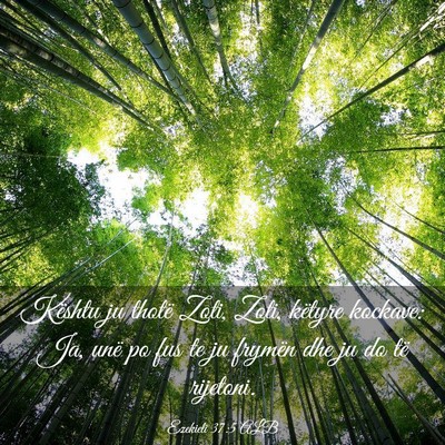 Picture 03 - Ezekieli 37:5 ALB - Kështu ju thotë Zoti, Zoti, këtyre kockave: - Bible Verse Picture