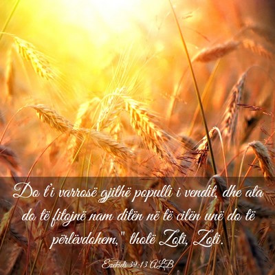 Picture 03 - Ezekieli 39:13 ALB - Do t’i varrosë gjithë populli i vendit, dhe - Bible Verse Picture