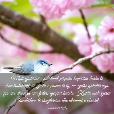 Picture 03 - Ezekieli 41:15 ALB - Mati gjatësinë e ndërtimit përpara - Bible Verse Picture