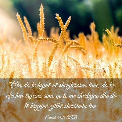 Picture 03 - Ezekieli 44:16 ALB - 