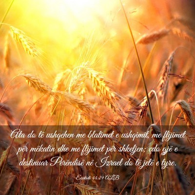 Picture 03 - Ezekieli 44:29 ALB - Ata do të ushqehen me blatimet e ushqimit, me - Bible Verse Picture