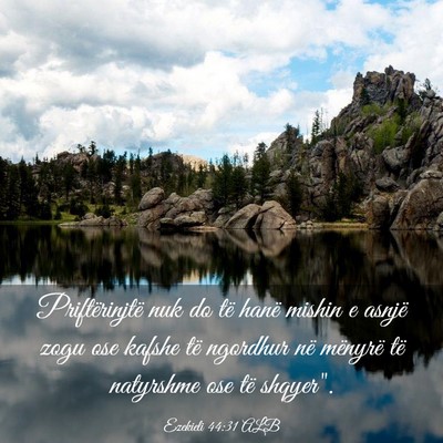 Picture 03 - Ezekieli 44:31 ALB - Priftërinjtë nuk do të hanë mishin e asnjë - Bible Verse Picture