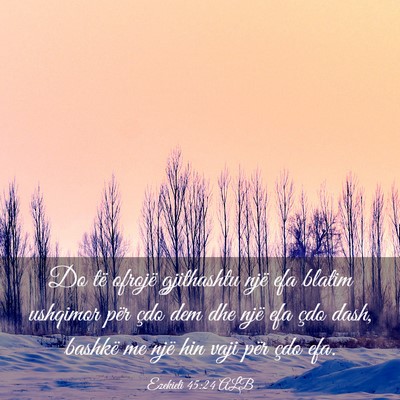 Picture 03 - Ezekieli 45:24 ALB - Do të ofrojë gjithashtu një efa blatim - Bible Verse Picture