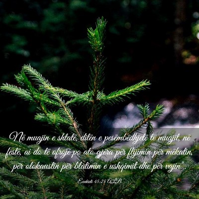 Picture 03 - Ezekieli 45:25 ALB - Në muajin e shtatë, ditën e pesëmbëdhjetë - Bible Verse Picture