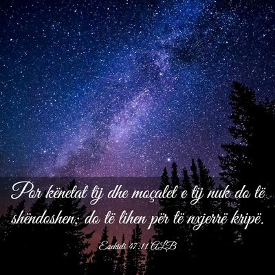 Picture 03 - Ezekieli 47:11 ALB - Por kënetat tij dhe moçalet e tij nuk do të - Bible Verse Picture