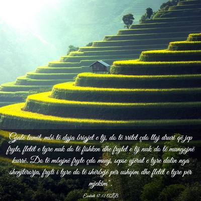 Picture 03 - Ezekieli 47:12 ALB - Gjatë lumit, mbi të dyja brigjet e tij, do të - Bible Verse Picture