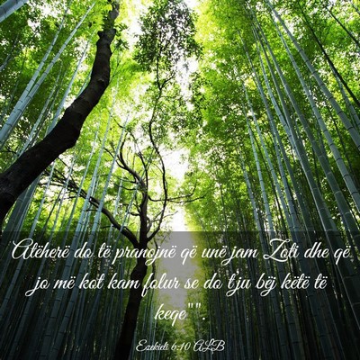Picture 03 - Ezekieli 6:10 ALB - Atëherë do të pranojnë që unë jam Zoti dhe - Bible Verse Picture
