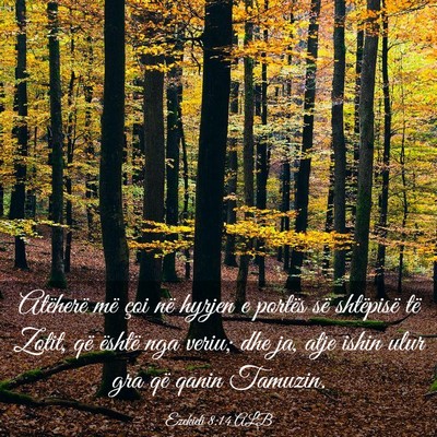 Picture 03 - Ezekieli 8:14 ALB - Atëherë më çoi në hyrjen e portës së - Bible Verse Picture