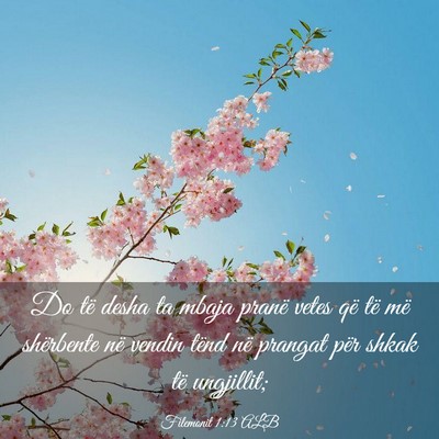 Picture 03 - Filemonit 1:13 ALB - Do të desha ta mbaja pranë vetes që të më - Bible Verse Picture