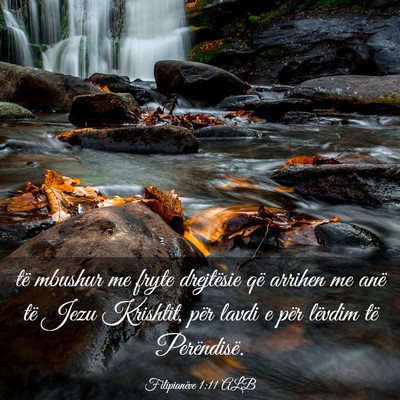 Picture 03 - Filipianëve 1:11 ALB - të mbushur me fryte drejtësie që arrihen me - Bible Verse Picture