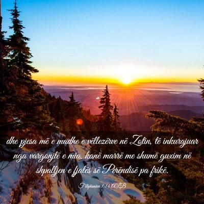Picture 03 - Filipianëve 1:14 ALB - dhe pjesa më e madhe e vëllezërve në Zotin, - Bible Verse Picture