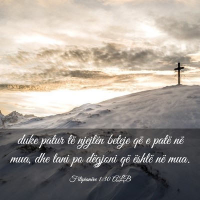 Picture 03 - Filipianëve 1:30 ALB - duke patur të njejtën beteje që e patë në - Bible Verse Picture