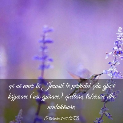 Picture 03 - Filipianëve 2:10 ALB - që në emër të Jezusit të përkulet çdo gju - Bible Verse Picture