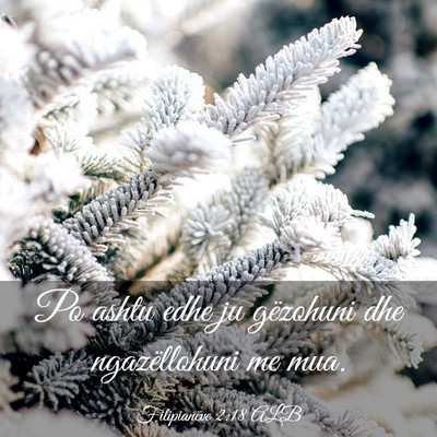 Picture 03 - Filipianëve 2:18 ALB - Po ashtu edhe ju gëzohuni dhe ngazëllohuni me - Bible Verse Picture