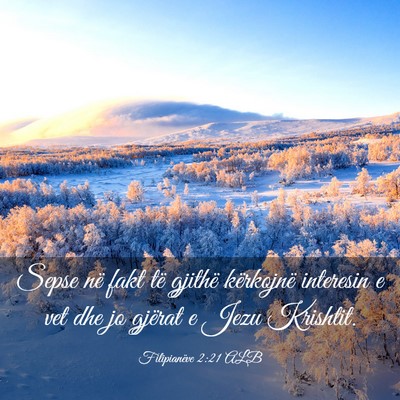 Picture 03 - Filipianëve 2:21 ALB - Sepse në fakt të gjithë kërkojnë interesin e - Bible Verse Picture