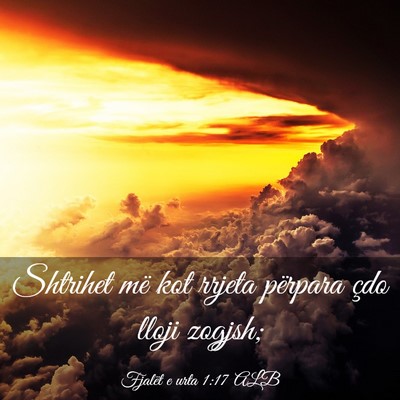 Picture 03 - Fjalët e urta 1:17 ALB - Shtrihet më kot rrjeta përpara çdo lloji - Bible Verse Picture