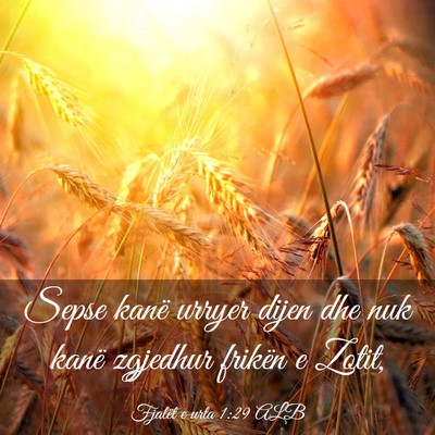 Picture 03 - Fjalët e urta 1:29 ALB - Sepse kanë urryer dijen dhe nuk kanë zgjedhur - Bible Verse Picture