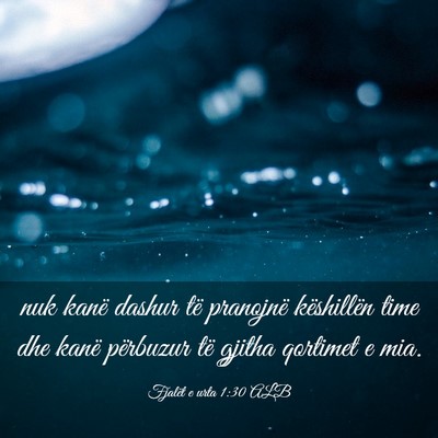 Picture 03 - Fjalët e urta 1:30 ALB - nuk kanë dashur të pranojnë këshillën time - Bible Verse Picture