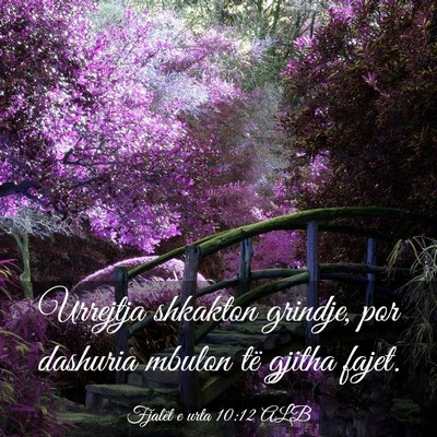 Picture 03 - Fjalët e urta 10:12 ALB - Urrejtja shkakton grindje, por dashuria mbulon - Bible Verse Picture