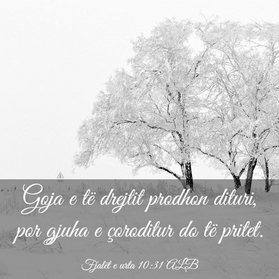Picture 03 - Fjalët e urta 10:31 ALB - Goja e të drejtit prodhon dituri, por gjuha e - Bible Verse Picture