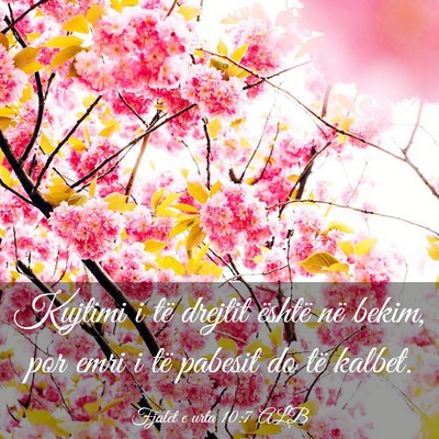 Picture 03 - Fjalët e urta 10:7 ALB - Kujtimi i të drejtit është në bekim, por emri - Bible Verse Picture