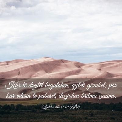Picture 03 - Fjalët e urta 11:10 ALB - Kur të drejtët begatohen, qyteti gëzohet; por - Bible Verse Picture