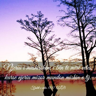 Picture 03 - Fjalët e urta 11:17 ALB - Njeriu i mëshirshëm i bën të mirë vetes, - Bible Verse Picture