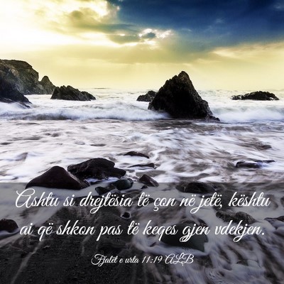 Picture 03 - Fjalët e urta 11:19 ALB - Ashtu si drejtësia të çon në jetë, kështu - Bible Verse Picture