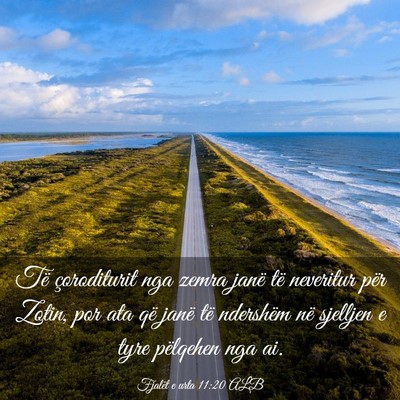 Picture 03 - Fjalët e urta 11:20 ALB - Të çoroditurit nga zemra janë të neveritur - Bible Verse Picture