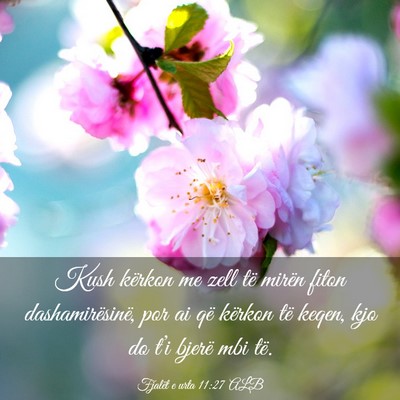 Picture 03 - Fjalët e urta 11:27 ALB - Kush kërkon me zell të mirën fiton - Bible Verse Picture