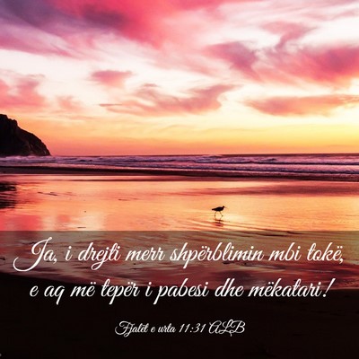 Picture 03 - Fjalët e urta 11:31 ALB - Ja, i drejti merr shpërblimin mbi tokë, e aq - Bible Verse Picture