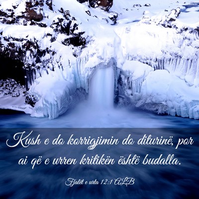Picture 03 - Fjalët e urta 12:1 ALB - Kush e do korrigjimin do diturinë, por ai që e - Bible Verse Picture