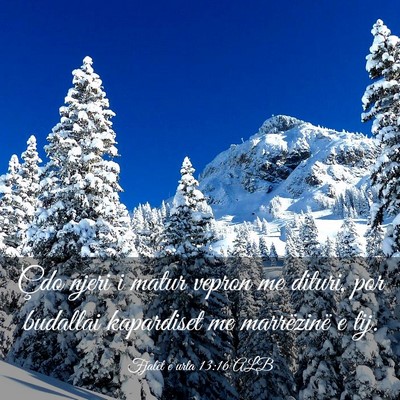 Picture 03 - Fjalët e urta 13:16 ALB - Çdo njeri i matur vepron me dituri, por budallai - Bible Verse Picture