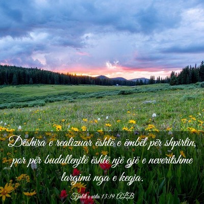 Picture 03 - Fjalët e urta 13:19 ALB - Dëshira e realizuar është e ëmbël për - Bible Verse Picture