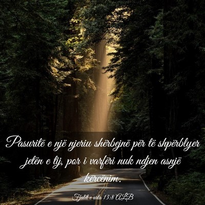Picture 03 - Fjalët e urta 13:8 ALB - Pasuritë e një njeriu shërbejnë për të - Bible Verse Picture