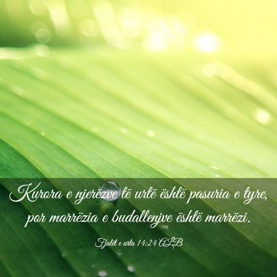 Picture 03 - Fjalët e urta 14:24 ALB - Kurora e njerëzve të urtë është pasuria e - Bible Verse Picture
