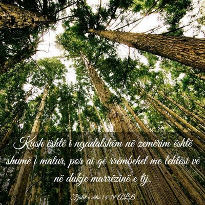 Picture 03 - Fjalët e urta 14:29 ALB - Kush është i ngadalshëm në zemërim është - Bible Verse Picture