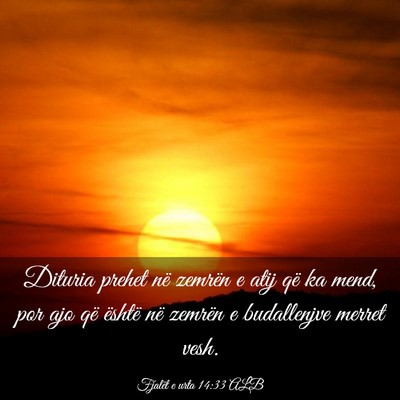 Picture 03 - Fjalët e urta 14:33 ALB - Dituria prehet në zemrën e atij që ka mend, - Bible Verse Picture