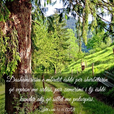 Picture 03 - Fjalët e urta 14:35 ALB - Dashamirësia e mbretit është për - Bible Verse Picture