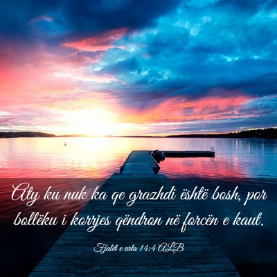 Picture 03 - Fjalët e urta 14:4 ALB - Aty ku nuk ka qe grazhdi është bosh, por - Bible Verse Picture