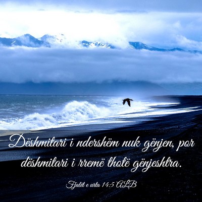 Picture 03 - Fjalët e urta 14:5 ALB - Dëshmitari i ndershëm nuk gënjen, por - Bible Verse Picture