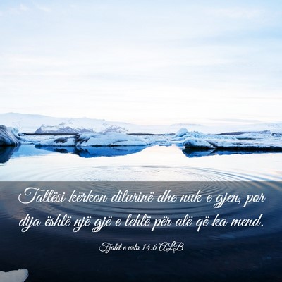 Picture 03 - Fjalët e urta 14:6 ALB - Tallësi kërkon diturinë dhe nuk e gjen, por - Bible Verse Picture