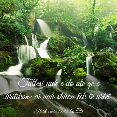 Picture 03 - Fjalët e urta 15:12 ALB - Tallësi nuk e do atë që e kritikon; ai nuk - Bible Verse Picture