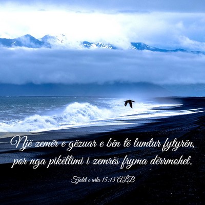 Picture 03 - Fjalët e urta 15:13 ALB - Një zemër e gëzuar e bën të lumtur fytyrën, - Bible Verse Picture